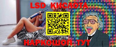 прущие грибы Новодвинск