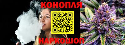 мдпв Новозыбков