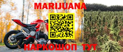 мдпв Новозыбков