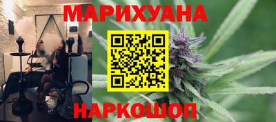 мдпв Новозыбков