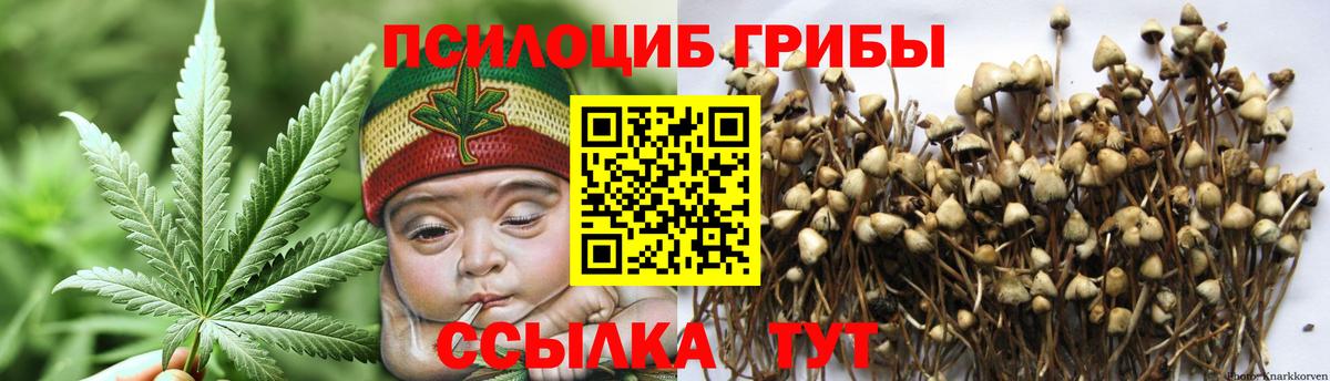 Псилоцибиновые грибы прущие грибы Балтийск